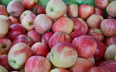 Fête de l’Automne 2023