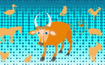 RFH : atelier “bestiaire des petits animaux de nos rues et jardins”